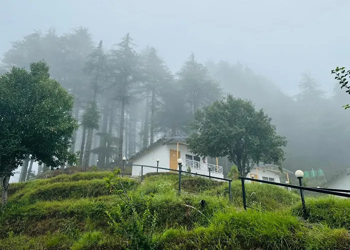 The Deodar Stays