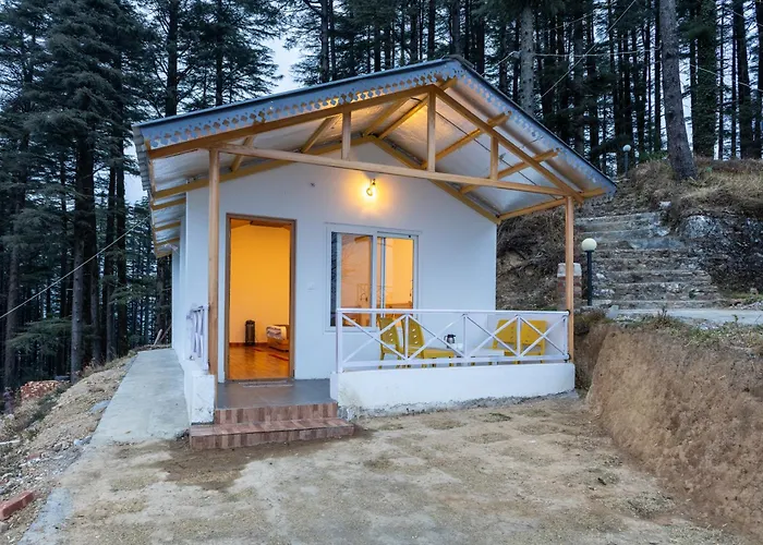The Deodar Stays
